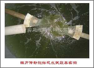 側(cè)入式磁力傳動攪拌機(jī)水試實拍